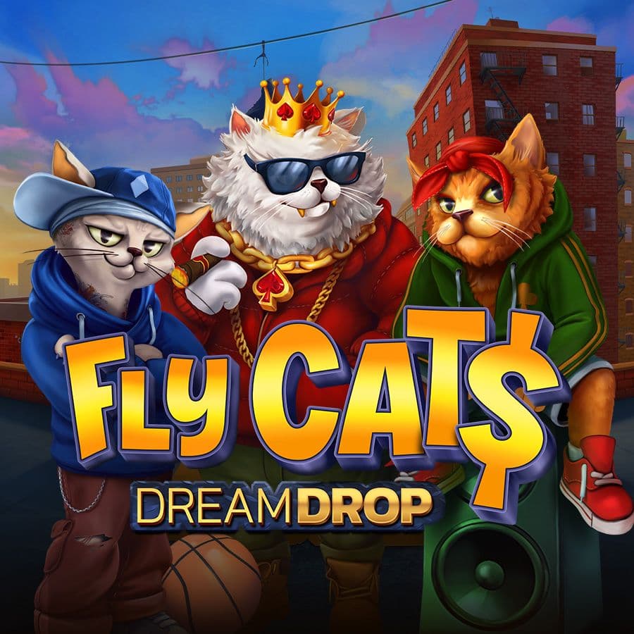 Fly Cat$ Dream Drop